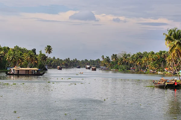 Alleppey Houseboats View